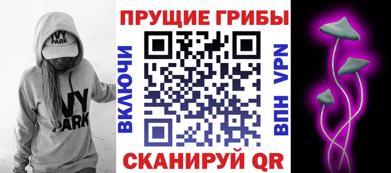 Купить закладки  Слободской  Псилоцибиновые грибы мицелий 