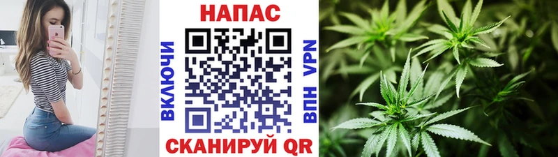Купить где  Слободской  Канабис конопля 